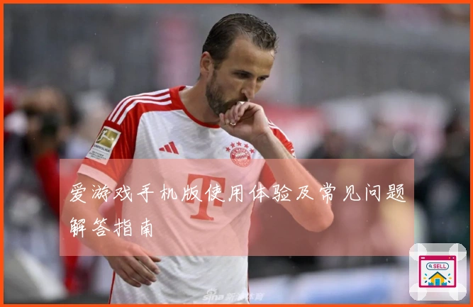 爱游戏手机版使用体验及常见问题解答指南